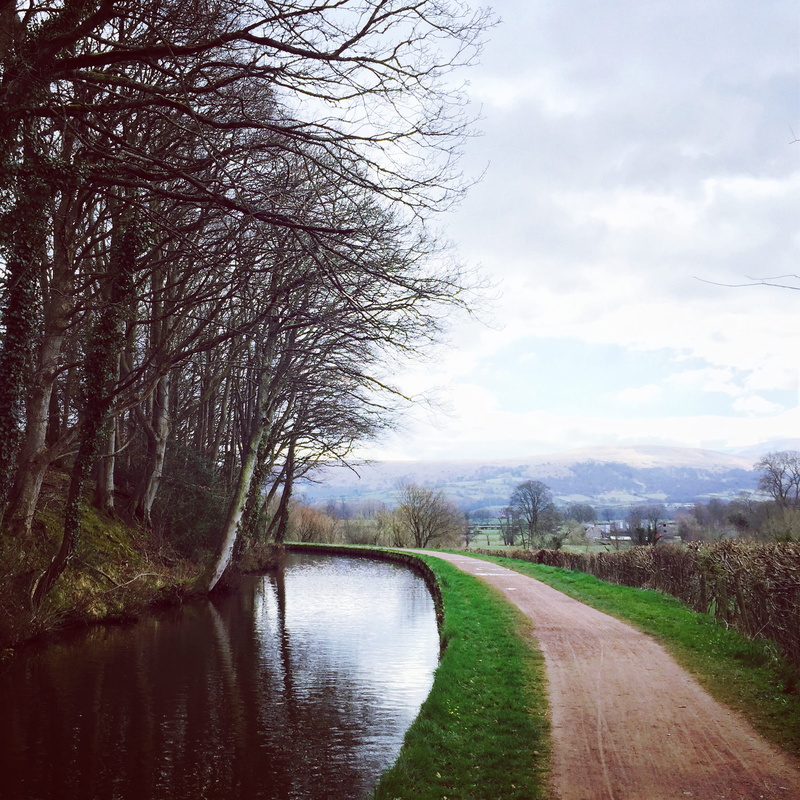nature, bare tree, no people, the way forward, diminishing perspective, long, hills, environment, scenics - nature, road, direction, land, non-urban scene