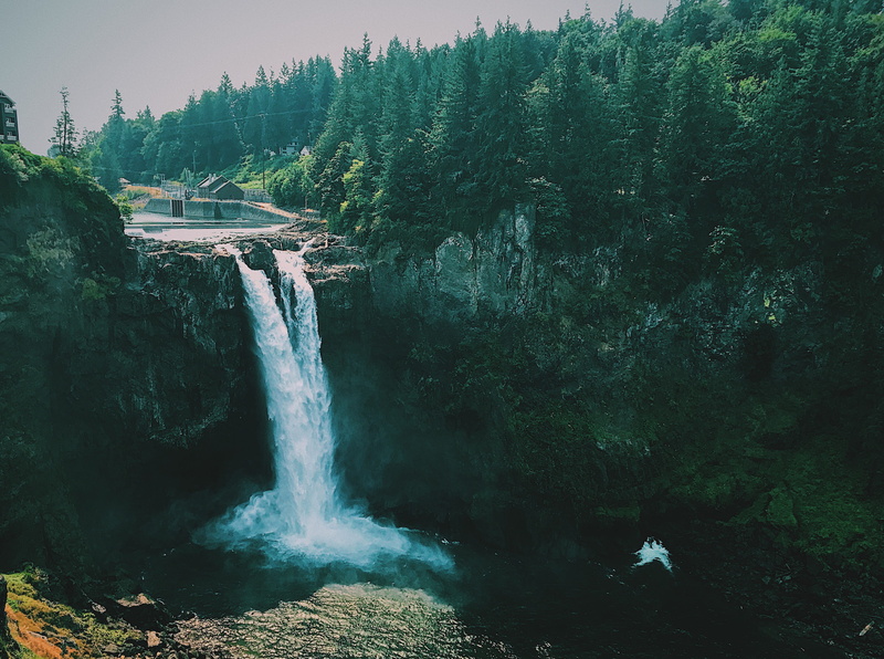plant, water, tranquil scene, nature, no people, scenics - nature, 6655 railroad ave, united states, flowing, growth, solid, motion, washington, scenic