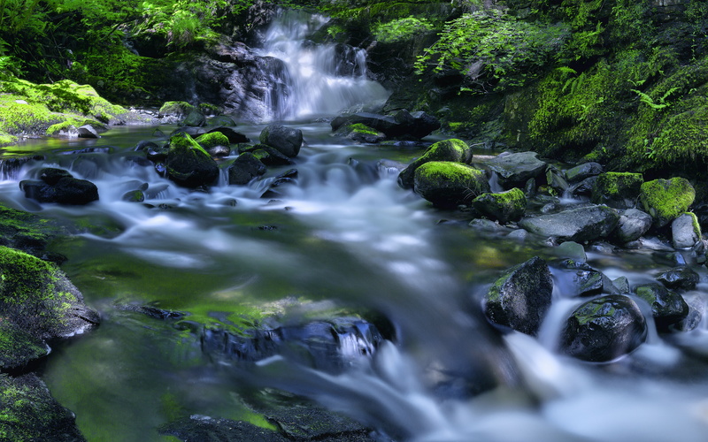 River, Stream, Kirkton Glen, 5K, Forest, 5K, Waterfall