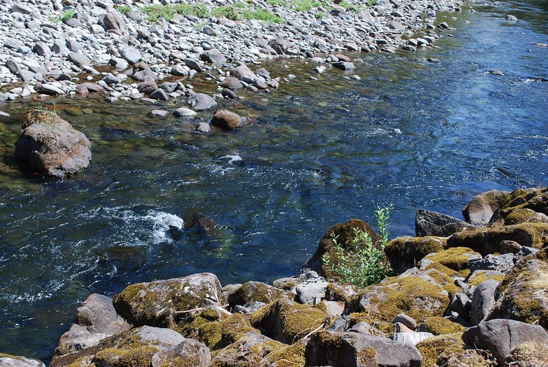 shallow, beauty in nature, land, flowing water, rocky coastline, flowing, outdoors, mount hood, pebble, no people, sea, motion, 1080P, solid, stone, oregon