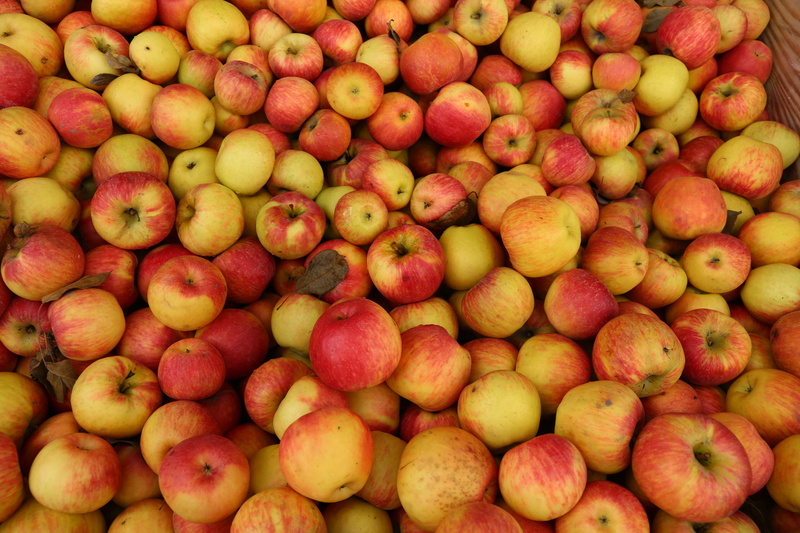 wellbeing, apple - fruit, market stall, cider, red, fruit, day, high angle view, business, for sale, large group of objects, sale, ripe, full frame, healthy eating