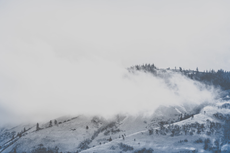 plant, tranquility, cold temperature, united states, scenics - nature, 5K, extreme weather, sunrise, cloudscape, love, oregon, hood river, tree
