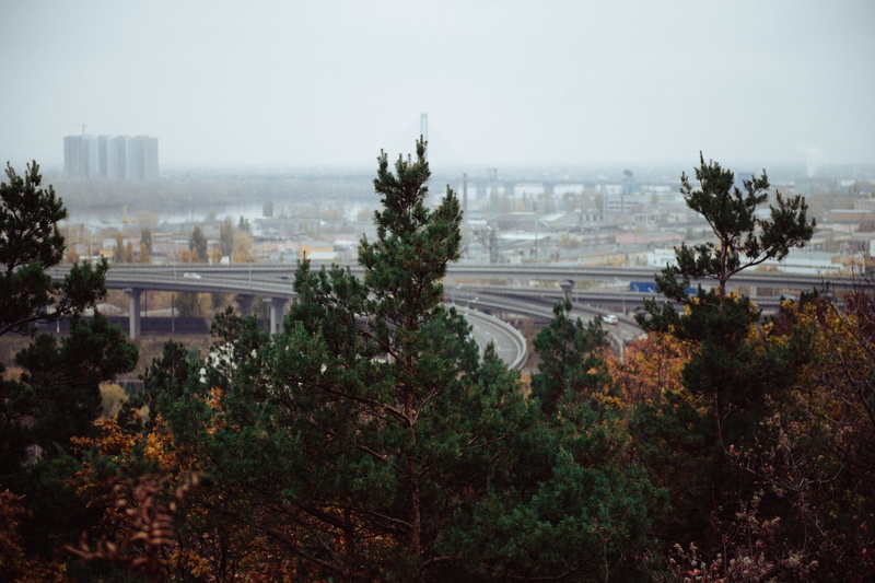 growth, heaven, sky, fog, rain, defoliation, building, mushrooms, fall, high angle view, built structure, outdoors, green, walk, city, red, foliage, fall of the leaf