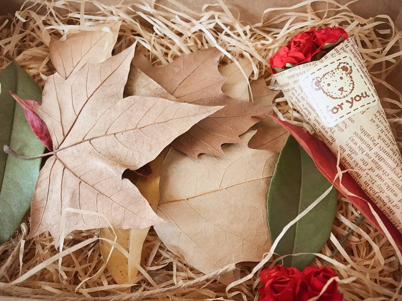 pattern, art and craft, paper, dry, backgrounds, outdoors, change, autumn, dead leaves, high angle view, gift, still life, indus, season, positive emotion