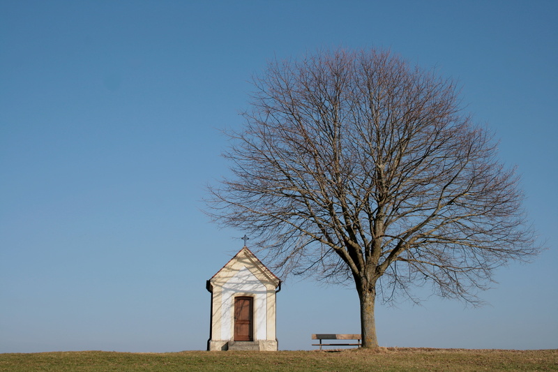 architecture, land, religion, plant, spring, built structure, wooden bench, no people, environment, chapel, 4K, clear sky, defoliated, landscape, meadow