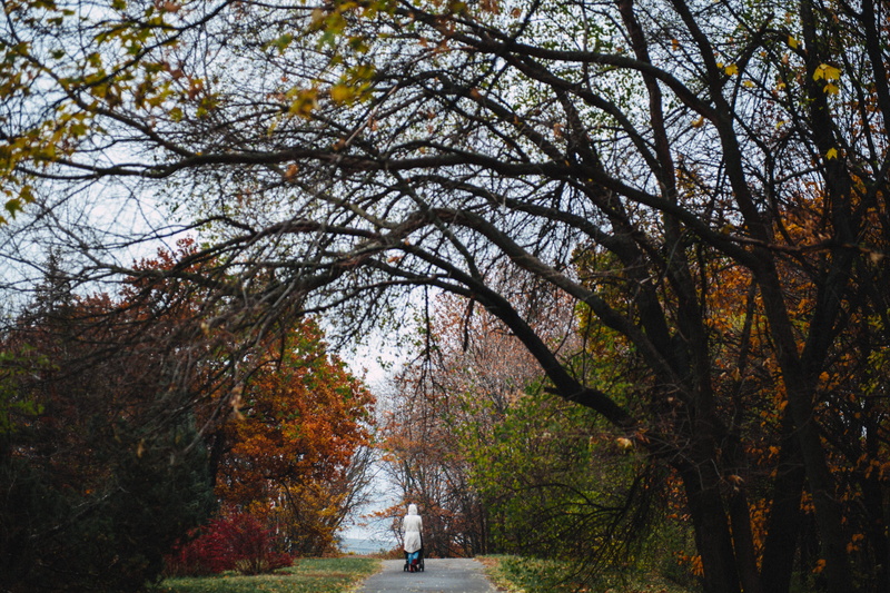 fall of the leaf, sky, mushrooms, growth, leaf fall, plant, green, red, heaven, tree, fall of the leaves, non-urban scene, real people, land, forest, nature