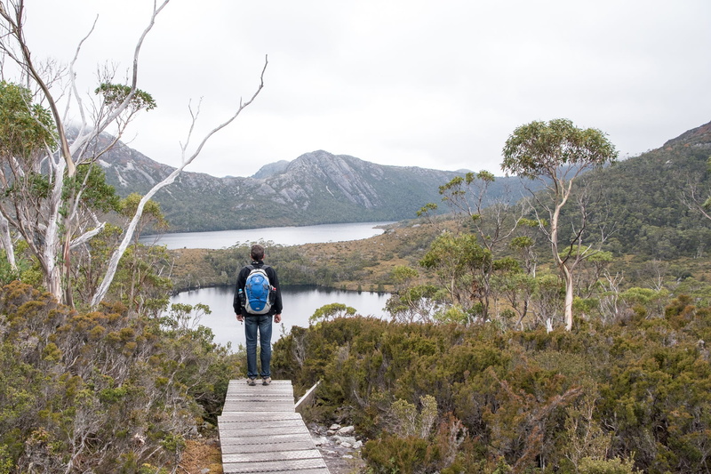 plant, tranquil scene, mountain, one person, walking, scenics - nature, 1080P, Cradle Mountain, rear view, lake lilla, sky, tasmania, lake, getting away from it all
