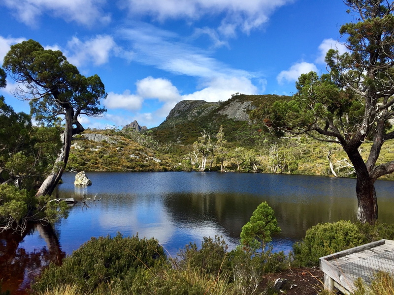 view, clouds, water, natural, landscape, cradle mountain, idyllic, day, forest, green color, mountains, water edge, no people, cloud - sky, growth, mountain