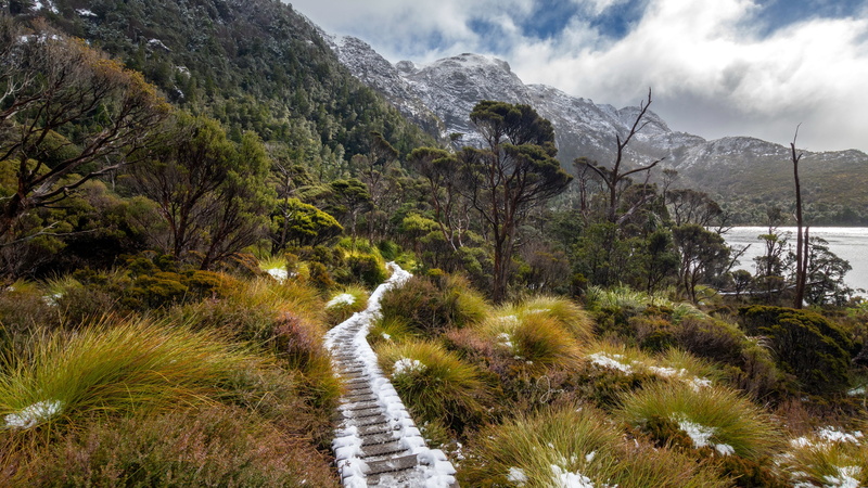 Cradle Mountain, Tasmania, Australia, 4K