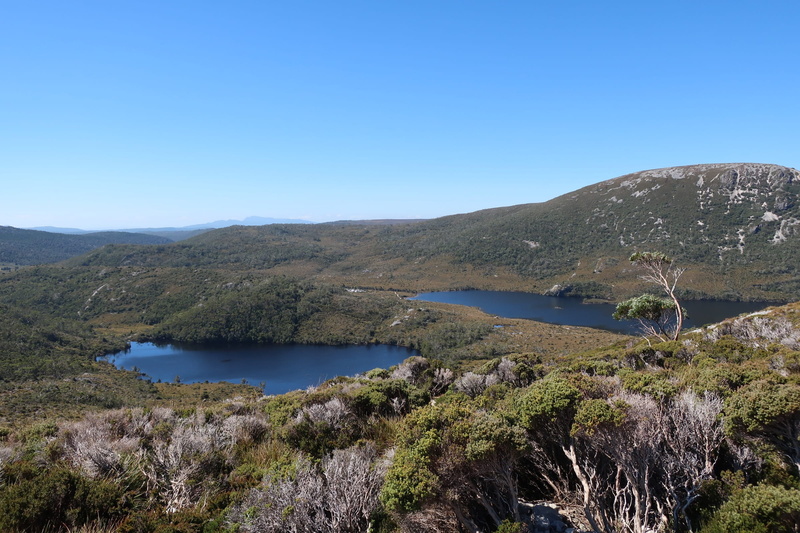 no people, travel, Tasmania, outdoors, lookout, scenic, mountain range, mountain, cradle, lake, tree, Cradle Mountain, cradle-mountain, scenics, tranquil scene