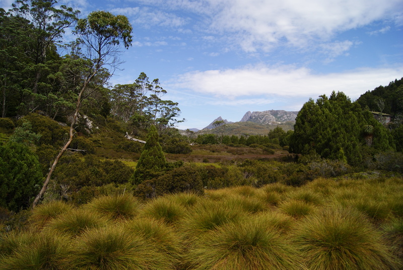 national park, sky, outdoors, non-urban scene, australia, day, land, tranquility, environment, growth, plant, cloud - sky, green color, beauty in nature