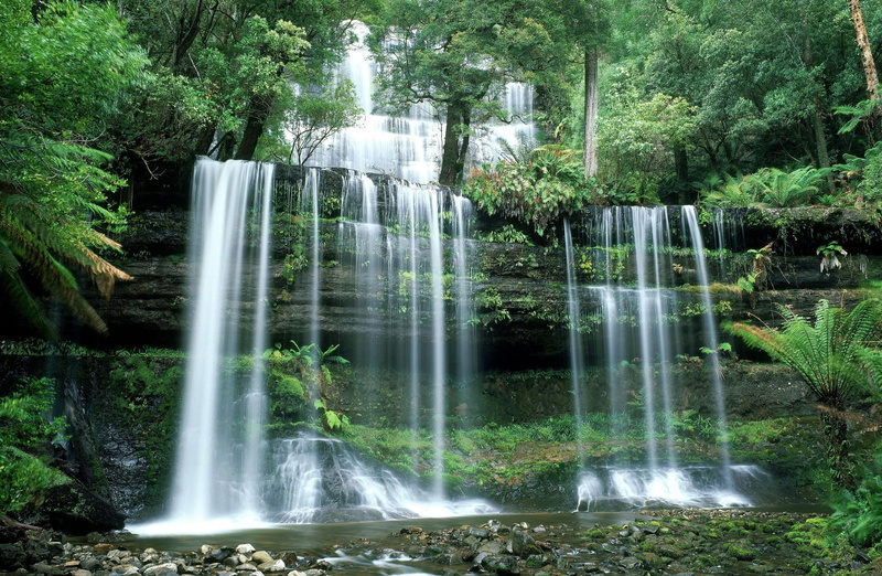 motion, purity, blurred motion, tree, flowing water, 1080P, power in nature, green, Park, solid, land, rock, rainforest, Nature, plant, no people, long exposure