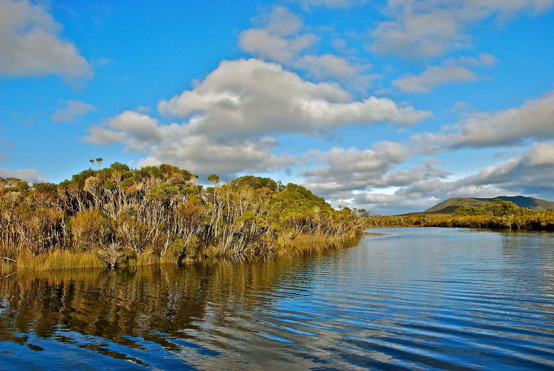 plant, australia, idyllic, green, scenics, coastline, trees, tree, waterfront, leaf, lake, grass, non-urban scene, blue, forest, water, cloud - Sky, mountain