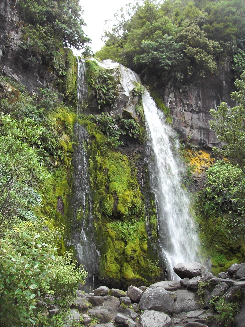 beauty in nature, rainforest, plant, land, rock formation, power in nature, water, flowing water, 1080P, landscape, tree, solid, splashing, no people