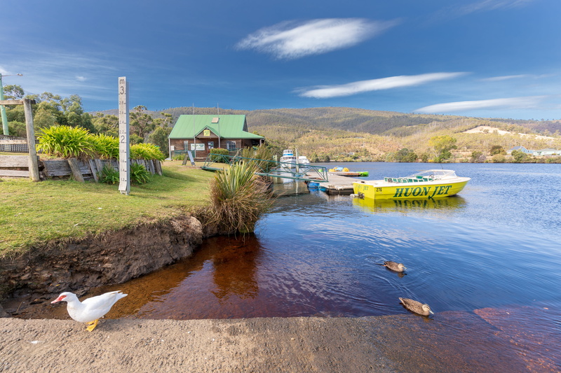 nature, sky, tree, animal, lake, landscape, built structure, transportation, river, 5K, animal wildlife, plant, group of animals, no people, bird, tasmania