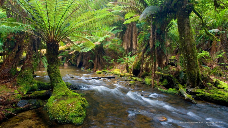 National Parks, park, mount, tasmania, 2K, national, australia, field
