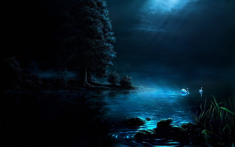 tranquil Scene, scenics, backgrounds, plant, water, sea, trees, night, underwater, fantasy, nature, light, sunbeam, forest, scenics - nature, fog, blue