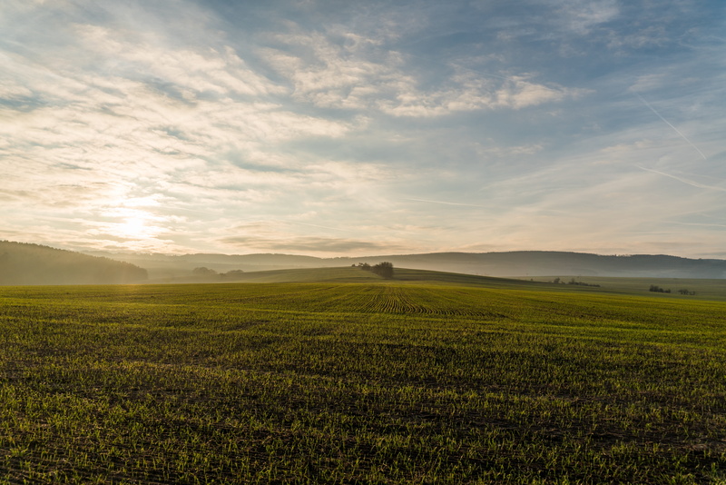 environment, rural scene, scenics, spacious, 8K, no people, sunset, photo, landscape, growth, plant, scenics - nature, farm, tranquil scene, beauty in nature