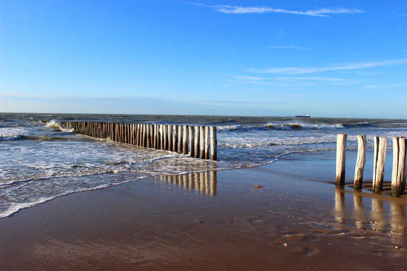 day, traces, horizon, beach, 5K, cadzand-bad, water, sky, body, no people, sea, holzbuhne, tranquil scene, vision, land, landscape, wood - material, distant