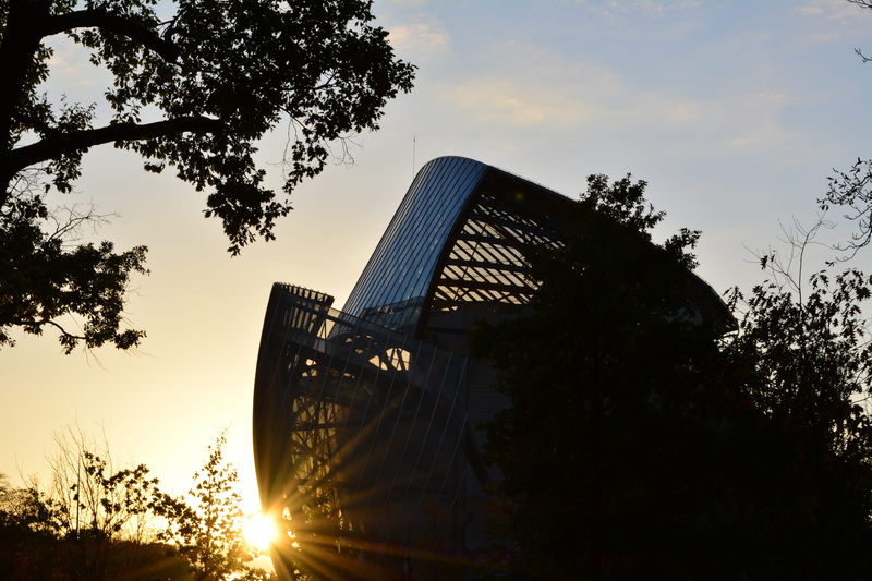 5K, sunset, trees, amusement park, sun, arts culture and entertainment, nature, tree, sunlight, amusement park ride, growth, built structure, beauty in nature