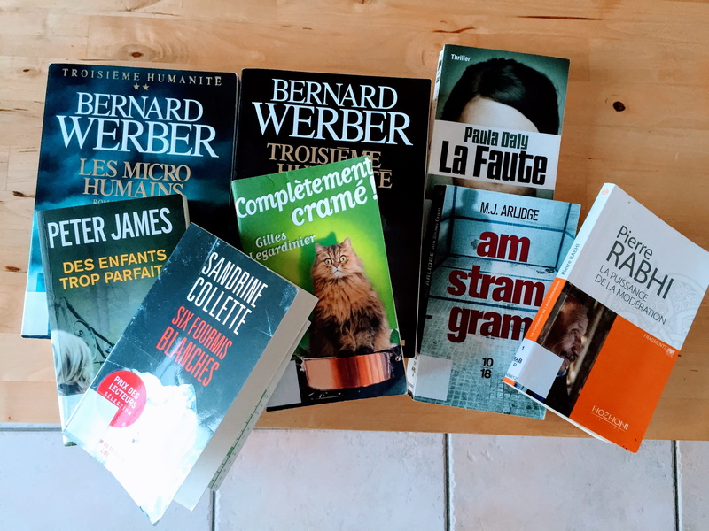 français, technology, representation, table, communication, french, text, books, indoors, number, variation, high angle view, 2K, menu, information, non-western script