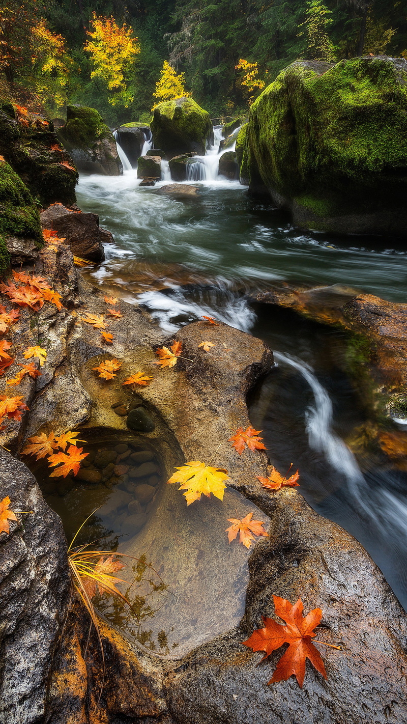 leaves, power in nature, change, plant part, day, rock - object, scenics - nature, nature, flowing water, outdoors, photograph, lapse, river, flowing, blurred motion