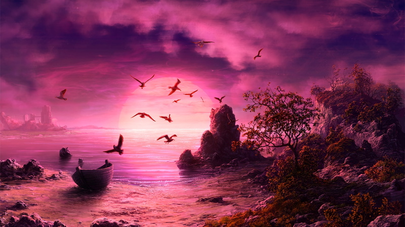 boat, pasari, bird, water, luminos, summer, vara, 2K, ratushnyak vitaliy, beach, sea, Sunset, pink, fantasy