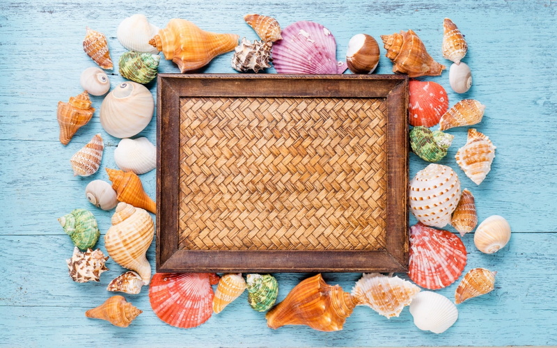 card, blue, arrangement, wood - material, wellbeing, healthy eating, no people, plant, healthy lifestyle, shell, flower, still life, summer, pink, food and drink