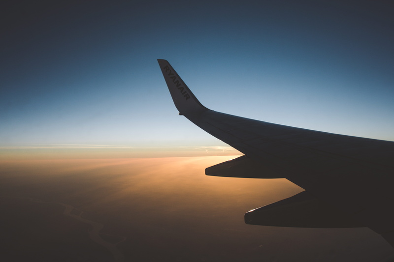 air vehicle, bird, clear sky, blue, sunlight, animal, nature, silhouette, clouds, airliner, flying, inside, mode of transportation, outdoors, wing, on the move