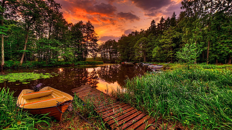 reflected, scenery, reflection, 4K, harmony, forest, boat, pier, sunset, trees, calm, lake