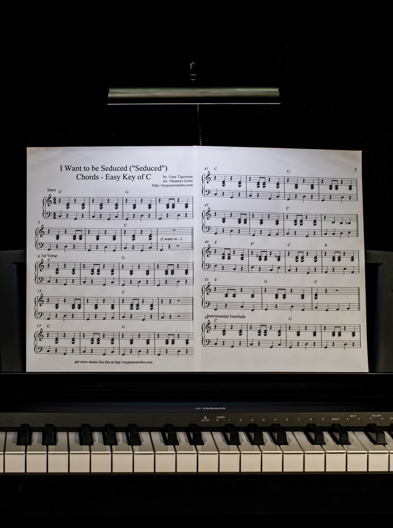 classical Music, piano, darkness, entertainment, close-up, music, piano lesson, musician, arts And Entertainment, keyboard, playing, musical Instrument