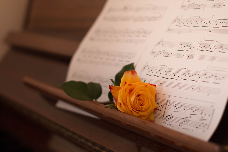 symbol, close-up, music, beside, rose, rose - flower, nature, petal, fragility, communication, paper, flowering plant, keys, bouquet, 5K, book, yellow