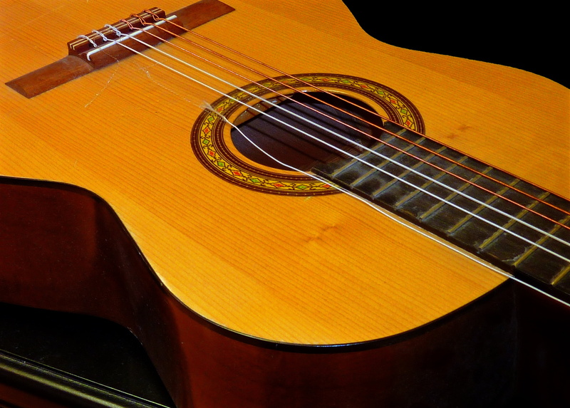 music, arts culture and entertainment, string instrument, orchestra, indoors, brown, studio shot, concert, strings, 2K, classical style, musical instrument