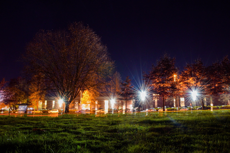 night, field, windows, dark, building exterior, light rays, city, trees, nature, no people, architecture, grass, branches, tree, glowing, half winter, 5K