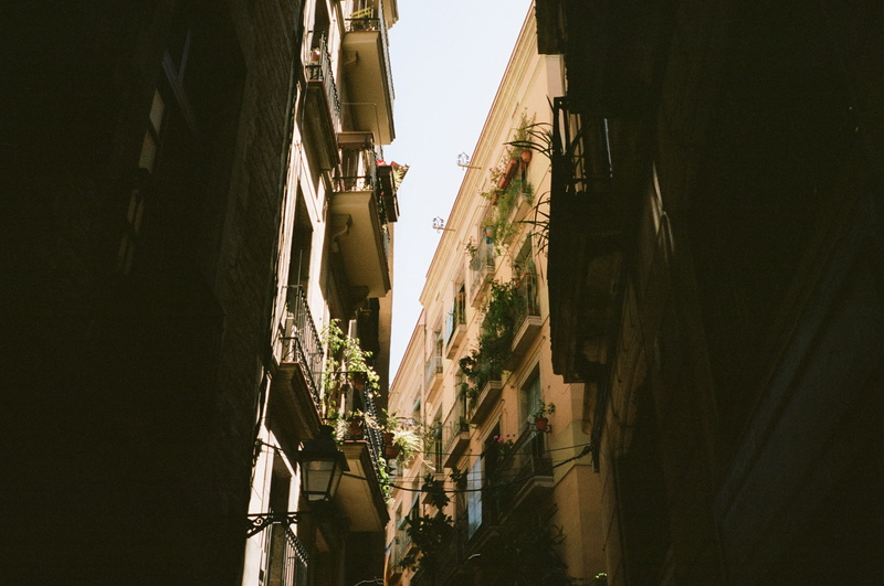 barca, outdoors, beige, cultures, alley, architectural, looking up, foliage, window, concrete, dark, architecture, europe, tourism, famous Place, no People