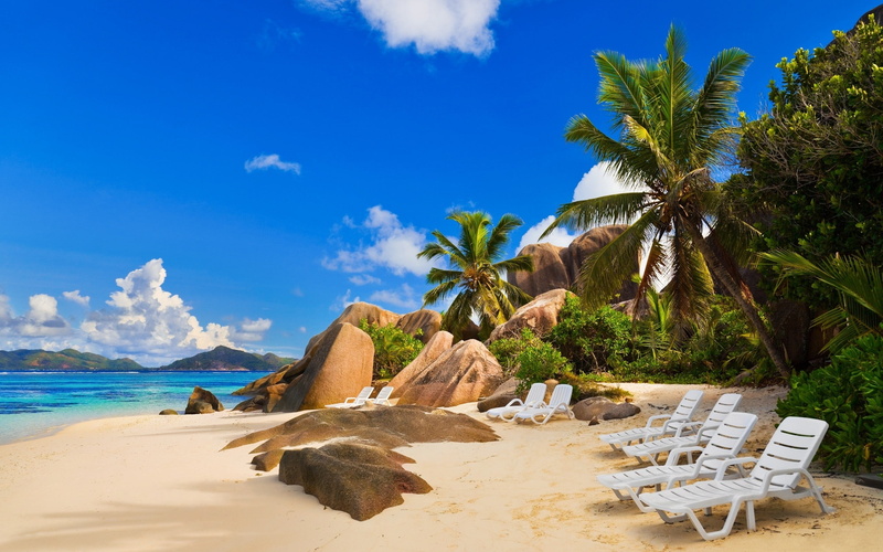 beach, hd, tropical, chair, palm, 2K, trees, rocks, stones, nature