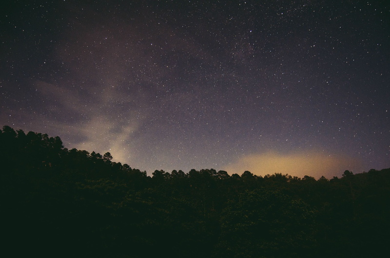 way, galaxy, idyllic, tranquility, non-urban scene, milky, milky way, plant, growth, stars, tranquil scene, night, star, tree, outdoors, sky, astronomy