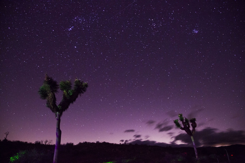 infinity, no people, tree, night, sunset, purple sky, dusk, two, backlit, sky, purple, scenics - nature, travel, star, moon, dawn, space and astronomy