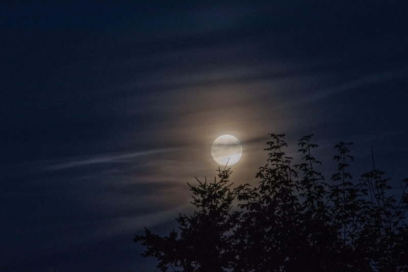 black, darkness, astronomy, silhouette, scenics - nature, photography, outdoors, no people, moonlight, night, nature, circle, low angle view, planetary moon