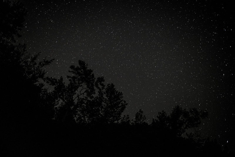 canon, stars, trees, great smoky mountains, star - space, nightsky, sky, tree, longexposure, dark, nationalpark, space and astronomy, starrynight, infinity