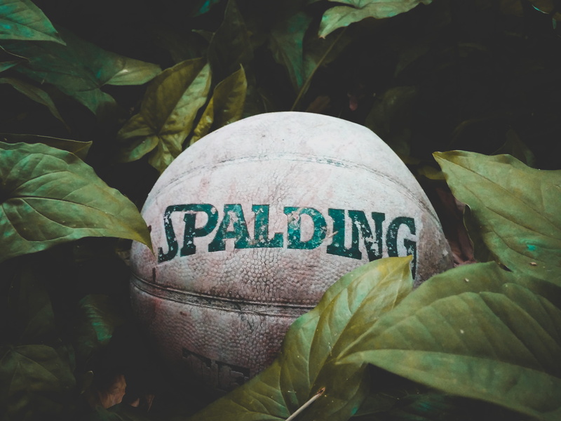 2K, nature, plants, close-up, brand, plant, photo, ball, no people, food and drink, information, day, food, western script, leaf, healthy eating, message