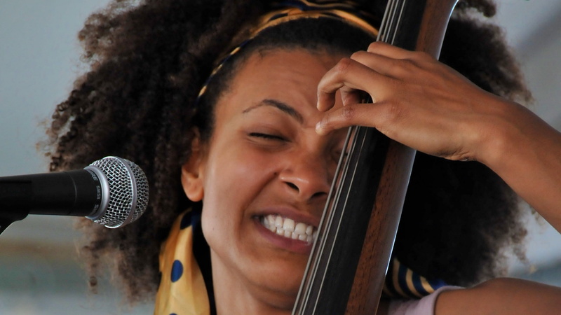 1080P, Esperanza Spalding, Musicians