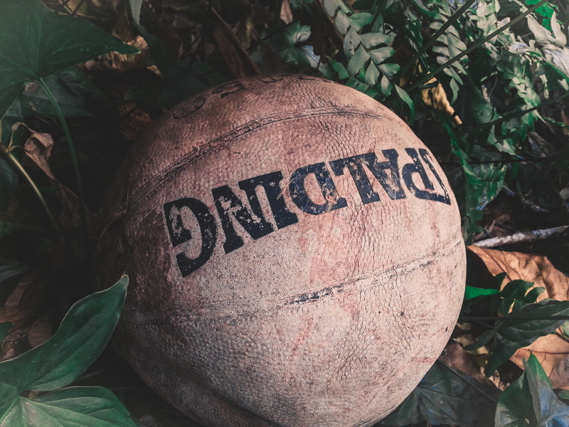 day, capital letter, ball, text, growth, communication, information, number, sign, nature, basketball, guidance, outdoors, brown, leafed, leaves, plants