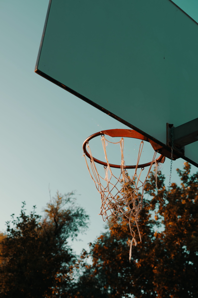 black, hoop, sport, 5K, leisure games, copy space, park, hungary, sky, play, basket, court, vegetation, exercise, sports, clear sky, plant, basketball - ball