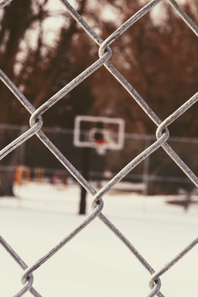 hoop, day, lock, playground, team sport, barricade, nature, bow, railing, close-up, boundary, fence, white, play area, protection, plant, security, safety