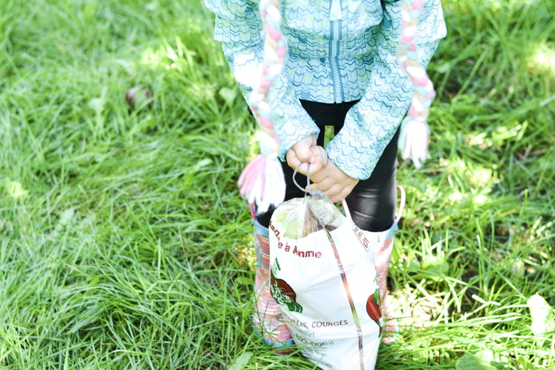 midsection, green color, child, love apples, standing, one person, red apples, cider, farm, plant, nature, casual clothing, farmer, apples, pickup, hand