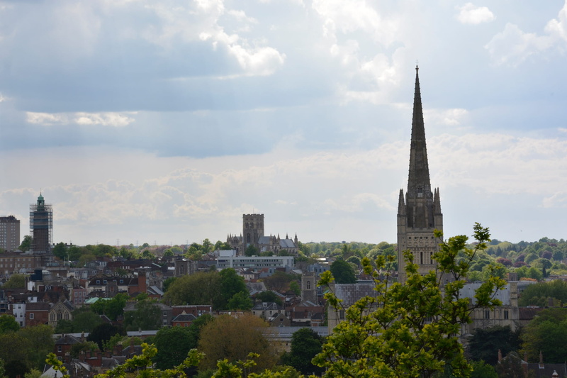norwich, architecture, built structure, day, city, cityscape, plant, office building exterior, building, travel destinations, spire, tower, nature, sky