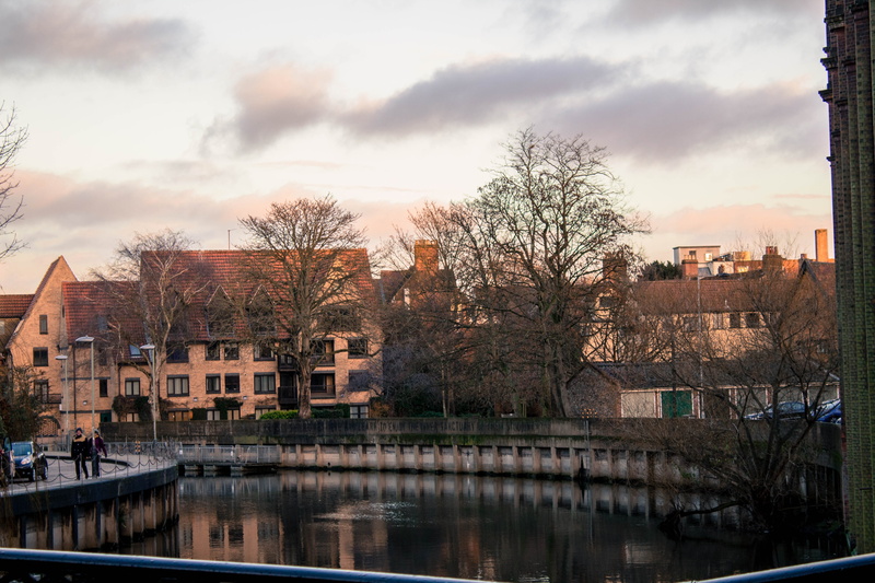 united kingdom, houses, water, tree, architecture, 5K, residential district, bare tree, day, no people, reflection, city, norwich, mirros, plant, built structure