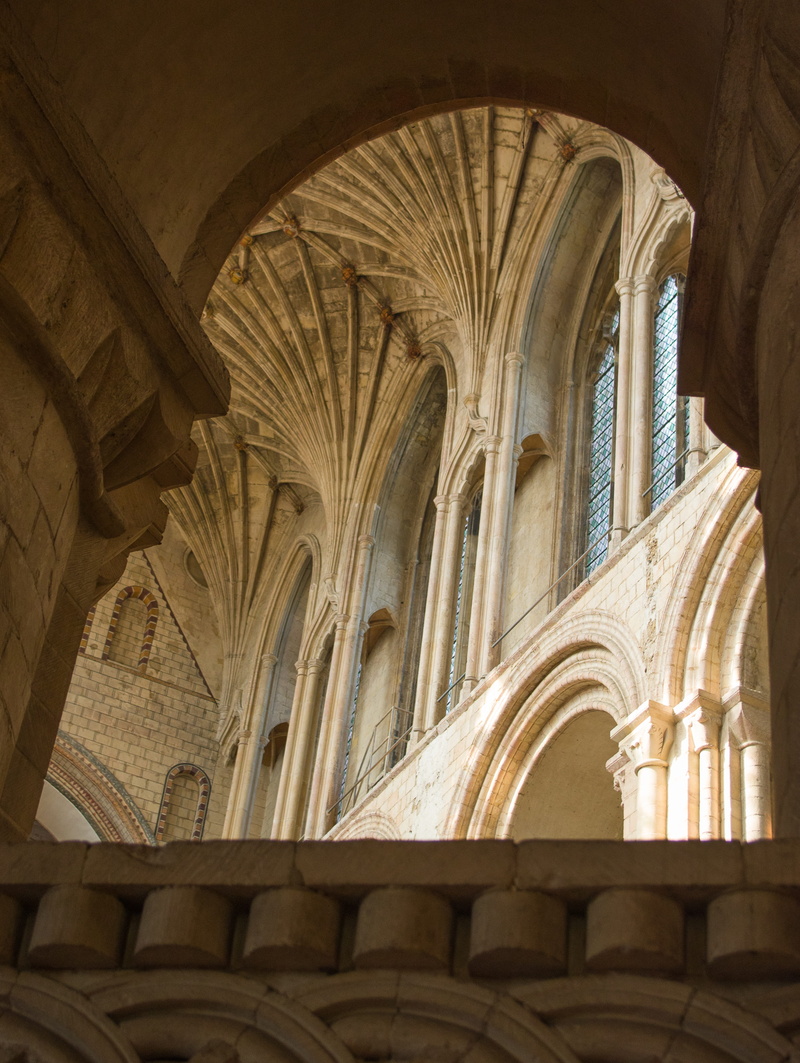 place of worship, cathedral, day, the past, ornate, norwich, abbey, architectural column, no people, window, arched, gothic style, spirituality, 4K, low angle view