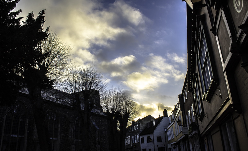 window, bare tree, low angle view, tree, 5K, united kingdom, silhouette, residential district, city, building, norwich, built structure, day, cloud - sky